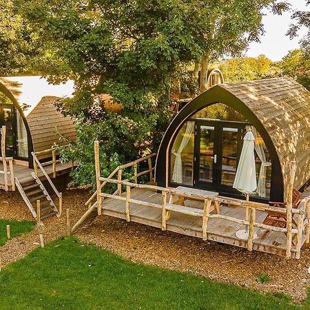 Boomhuis Met Optioneel Wellness - Vakantiepark De Schreiershoek Dokkum Extérieur photo