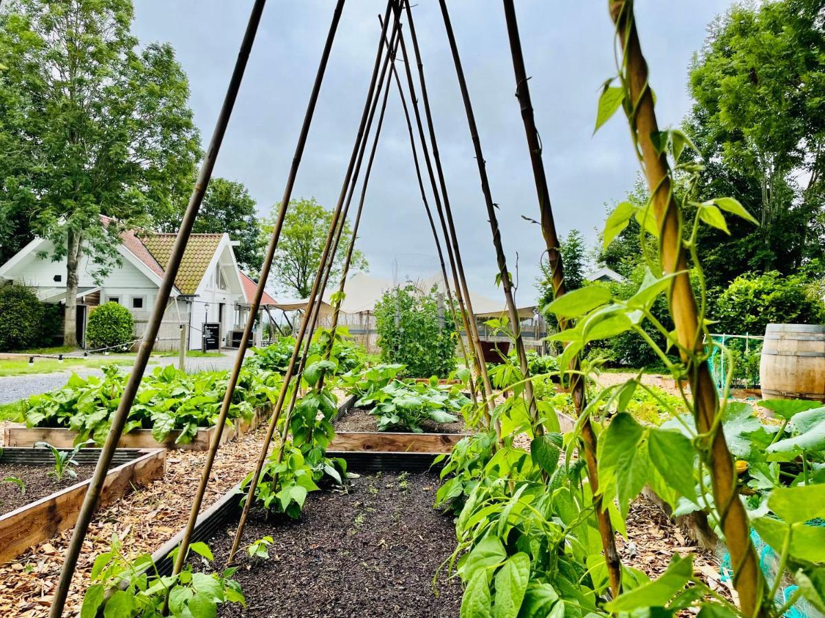 Boomhuis Met Optioneel Wellness - Vakantiepark De Schreiershoek Dokkum Extérieur photo