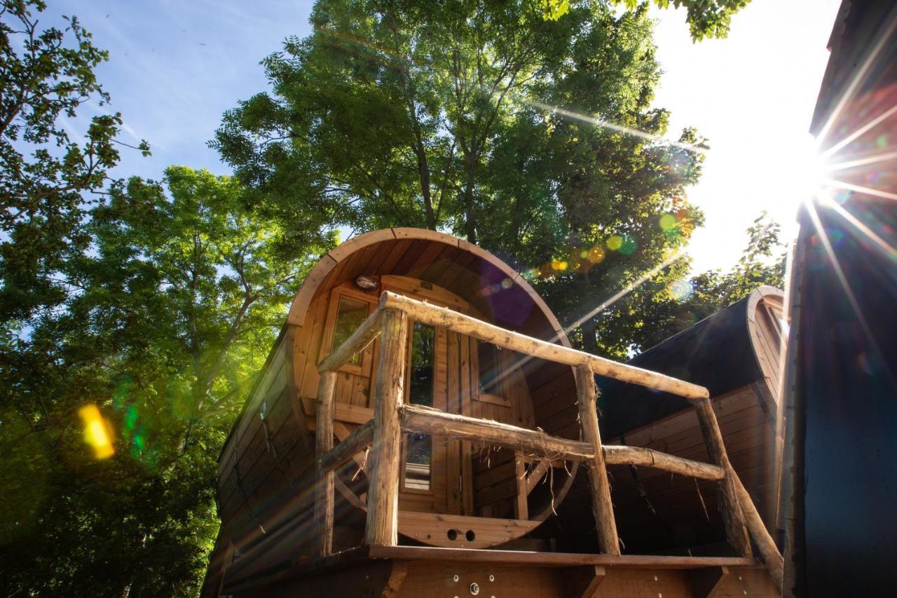 Boomhuis Met Optioneel Wellness - Vakantiepark De Schreiershoek Dokkum Extérieur photo