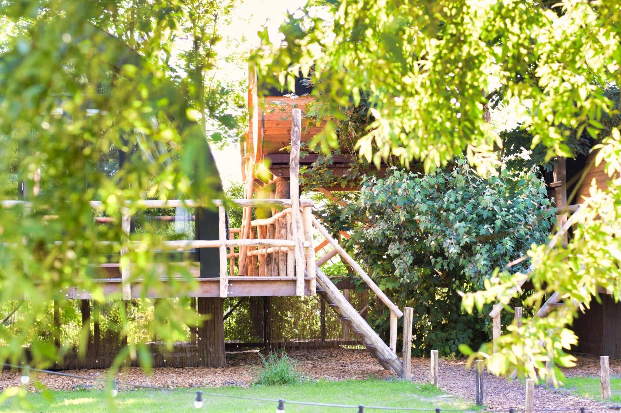 Boomhuis Met Optioneel Wellness - Vakantiepark De Schreiershoek Dokkum Extérieur photo