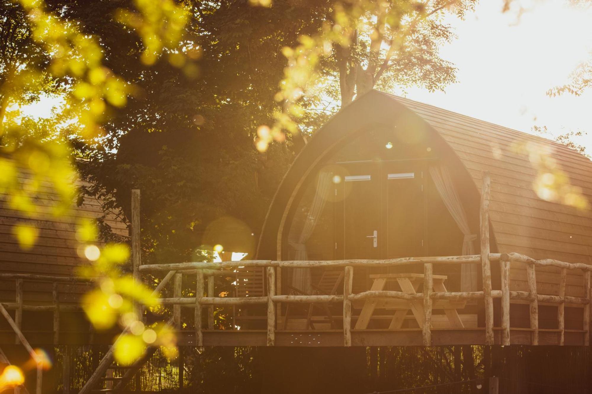 Boomhuis Met Optioneel Wellness - Vakantiepark De Schreiershoek Dokkum Extérieur photo